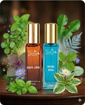 Yuvva Luxury Long Lasting 1 For MEN, 1 For WOMEN Perfume Gift Set of 2
